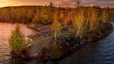 Kivinen rantaviiva, jossa kasvaa puita, ja taustalla näkyy metsä.