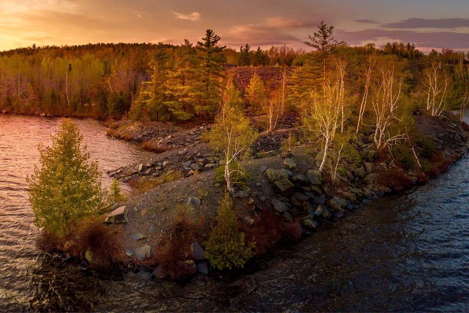 A rocky shoreline with trees and a forest in the background.