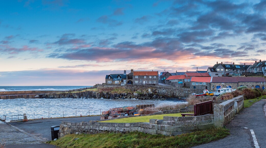 Craster Harbour and Village Panorama / Craster is a small fishing village on the Northumberland coast, with a small harbour and views to the ruins of Dunstanburgh Castle