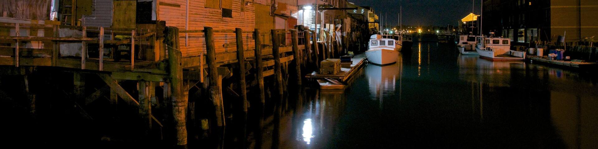 Portland which includes a city, a bay or harbor and night scenes