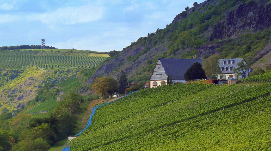 Die ehemalige Weinbaudomäne Niederhausen und der Heimbergturm bei Waldböckelheim