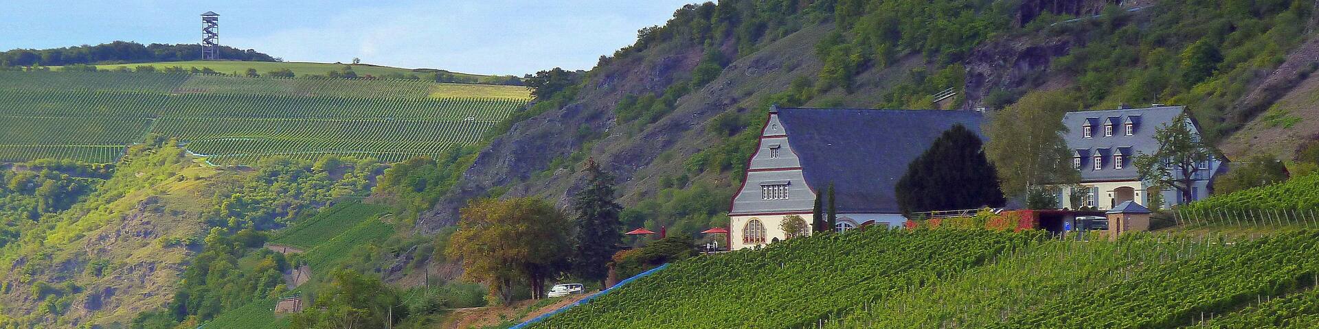 Die ehemalige Weinbaudomäne Niederhausen und der Heimbergturm bei Waldböckelheim