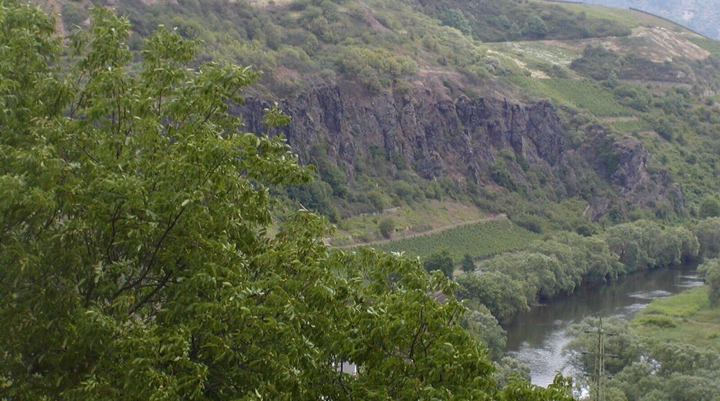 Die Nahe bei Niederhausen