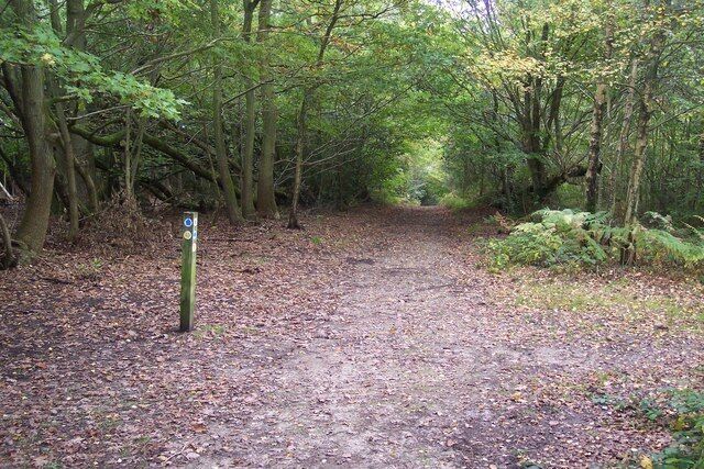 Footpath and bridleway junction in Scords Wood A bridleway leads from Emmetts Lane staight on towards Scords Lane. A footpath crosses right towards Emmetts Garden and onto New Road, from Emmetts Lane.