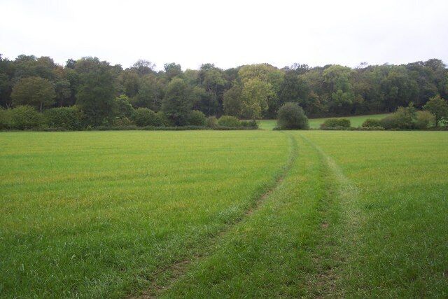 Curving footpath to Tanhouse Wood This path leads from Trowler's Wood towards Tanhouse Wood and then onto Toy's Hill road.