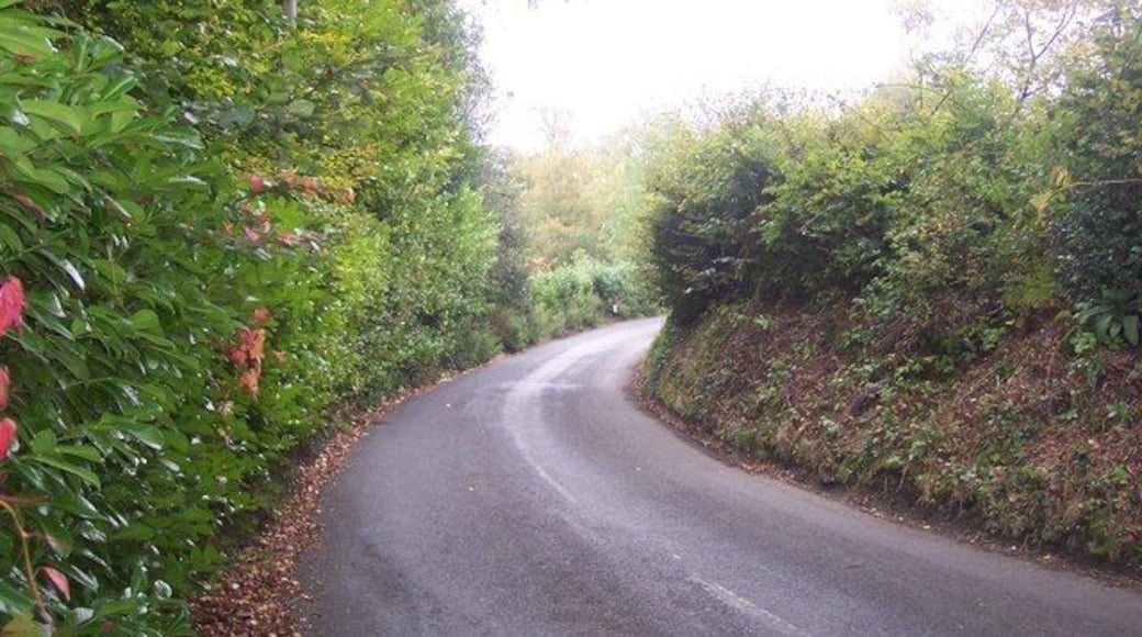 Emmetts Lane This lane leads from The Chart towards Whitley Row.