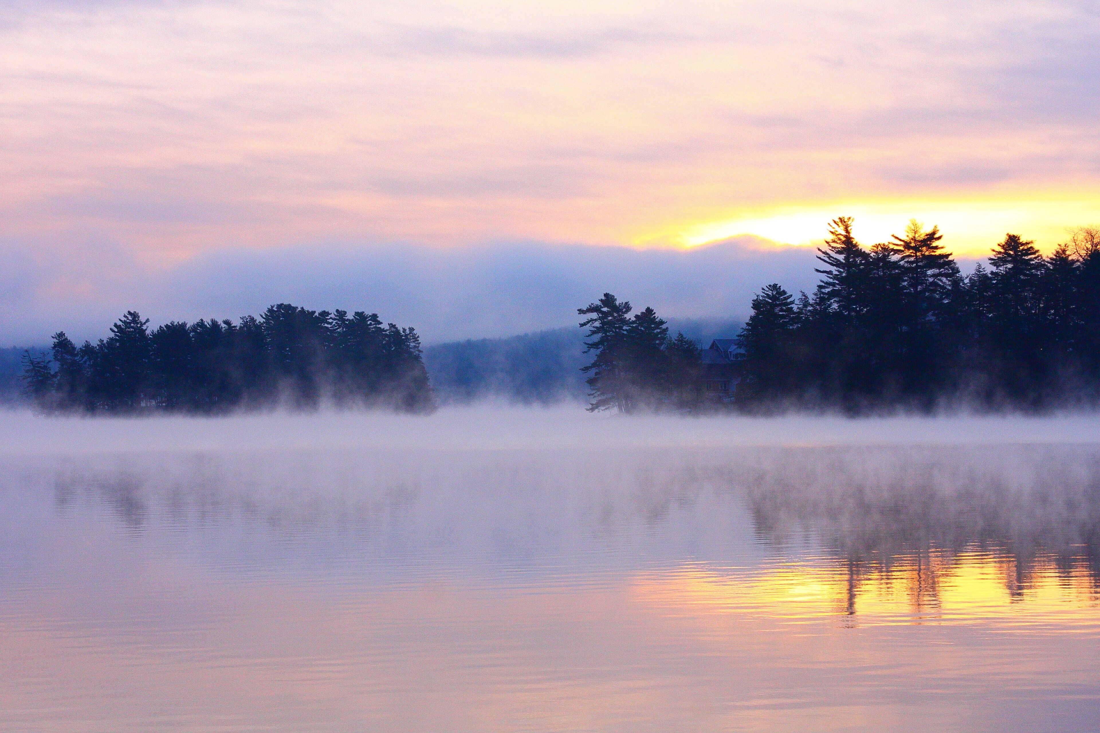 A misty lake with reflections of trees and a sunrise.