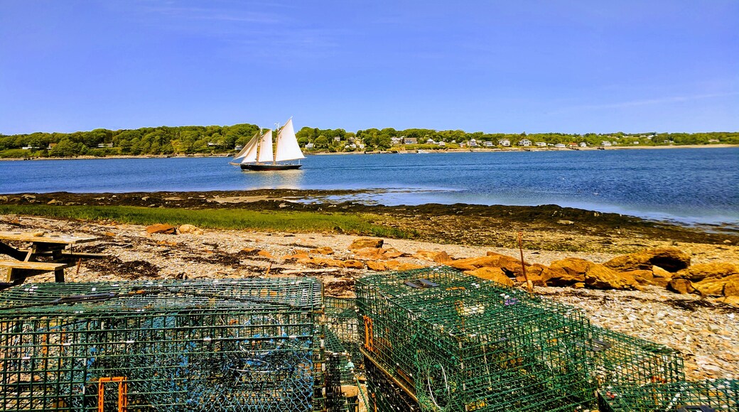Maine has a history for ship building and maritime. Anywhere on the coast you will see schooners, and large sailboats.
#maine #vacationland #schooner #coastal #thewaylifeshouldbe #summer
