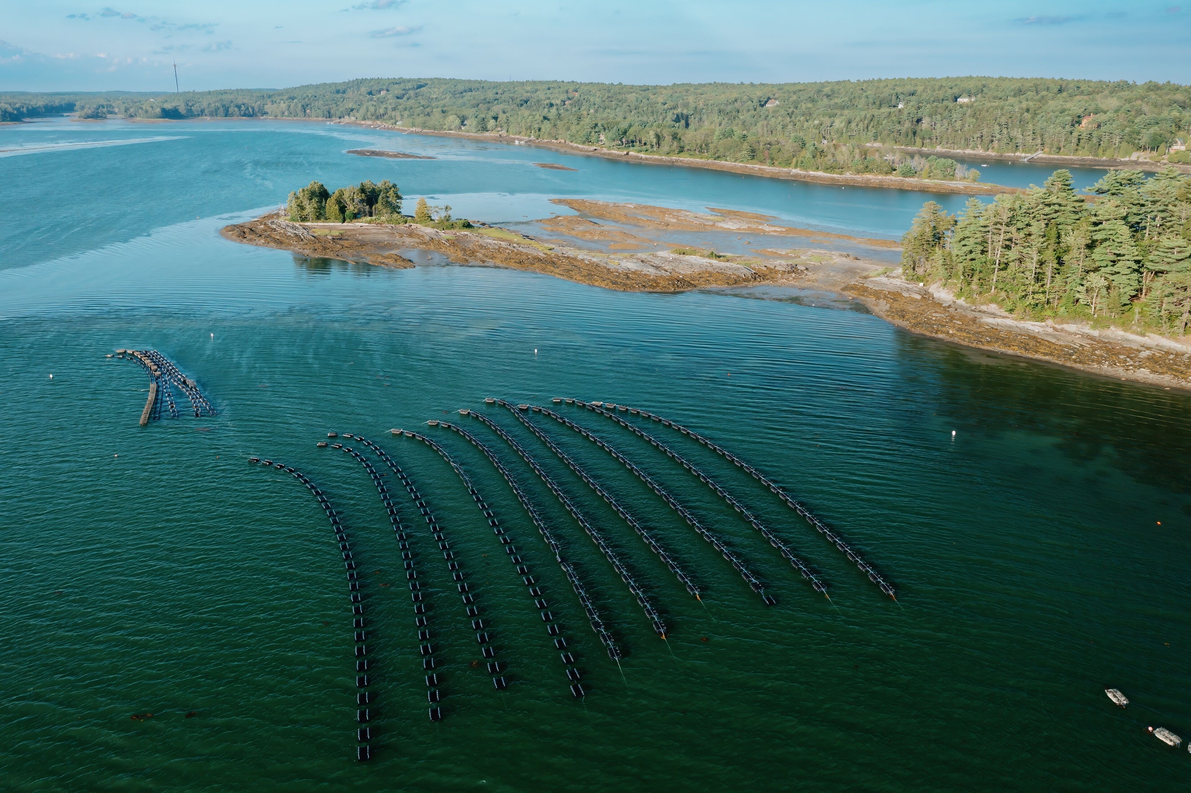 An aerial view of a river with a series of floating docks and a small island with trees.