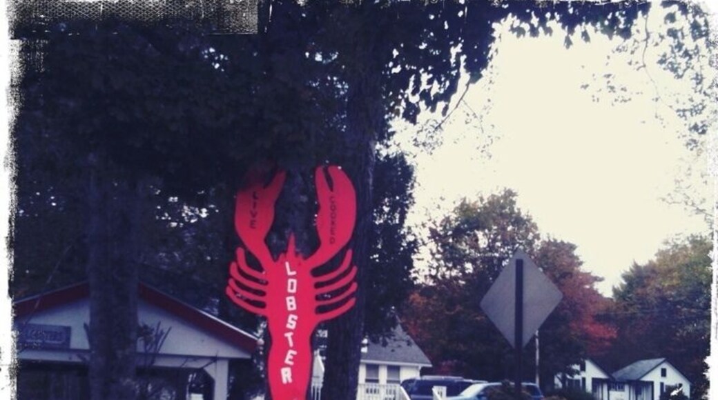 Welcome to beautiful otter creek!