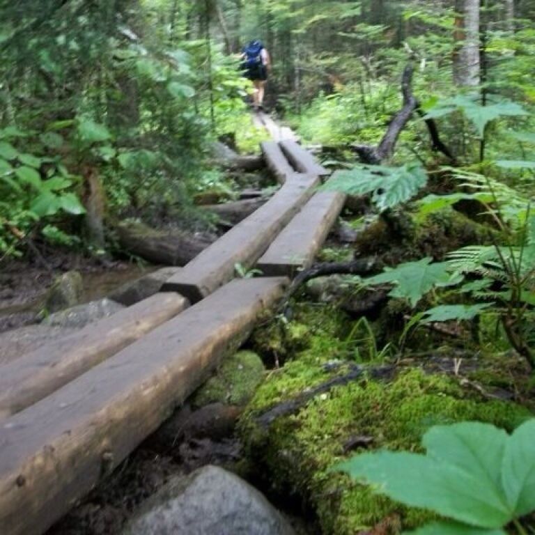 Elevated planks over swampy areas on the Appalacian Trail.