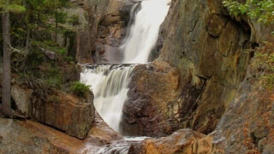 A waterfall cascading over rocks in a forested area.