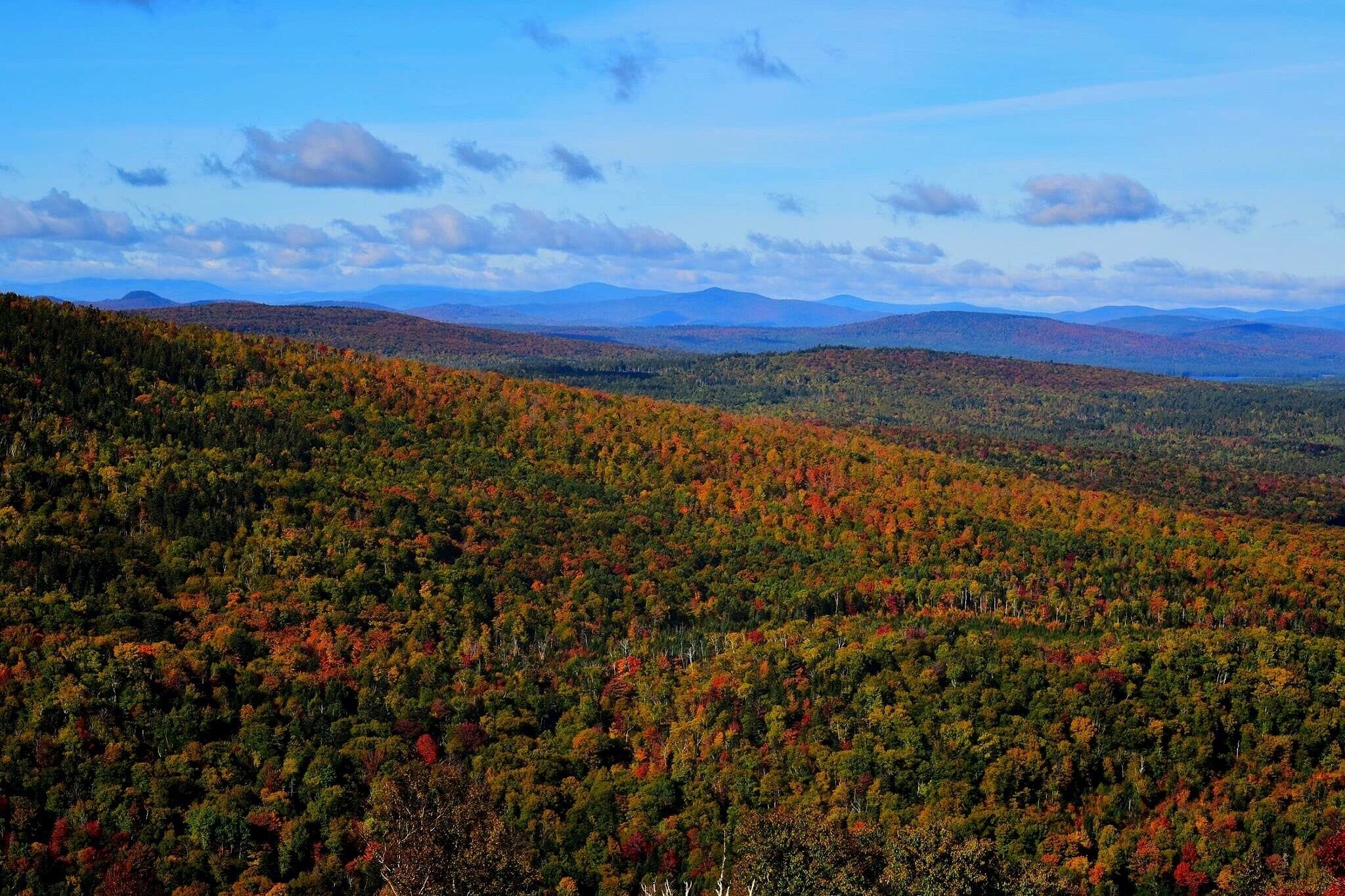 A forested mountain range with autumn foliage.