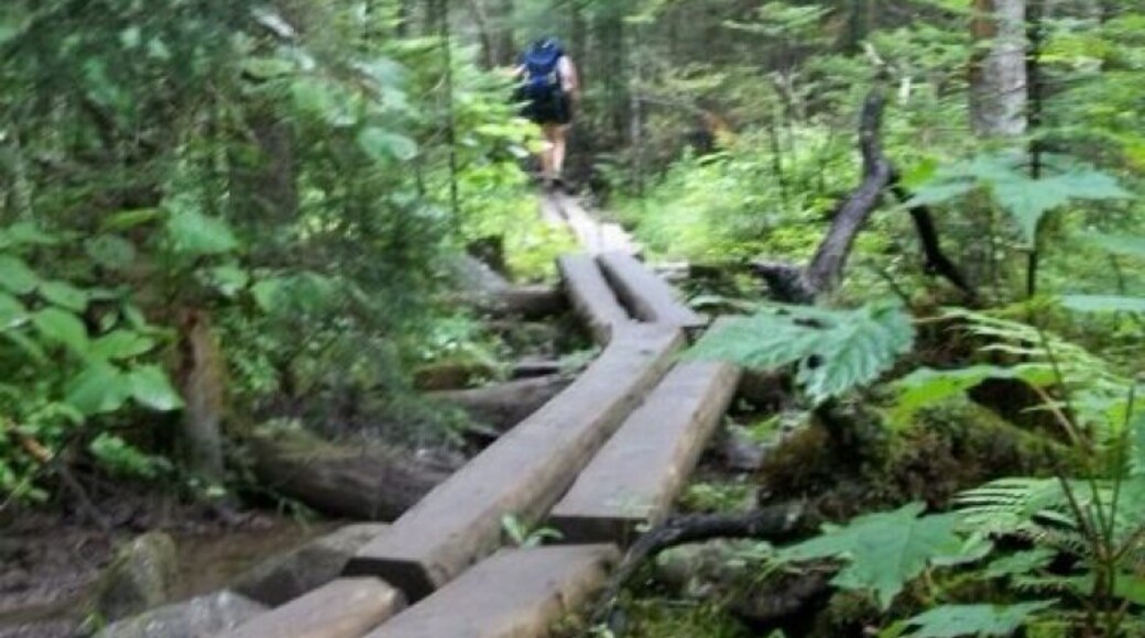 Hiking the Appalacian trail by Madrid, Maine in the Piazza Rock area headed towards Saddleback Mountain.
#hiking