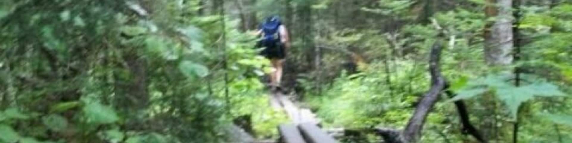 Hiking the Appalacian trail by Madrid, Maine in the Piazza Rock area headed towards Saddleback Mountain.
#hiking