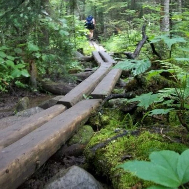 Hiking the Appalacian trail by Madrid, Maine in the Piazza Rock area headed towards Saddleback Mountain.
#hiking