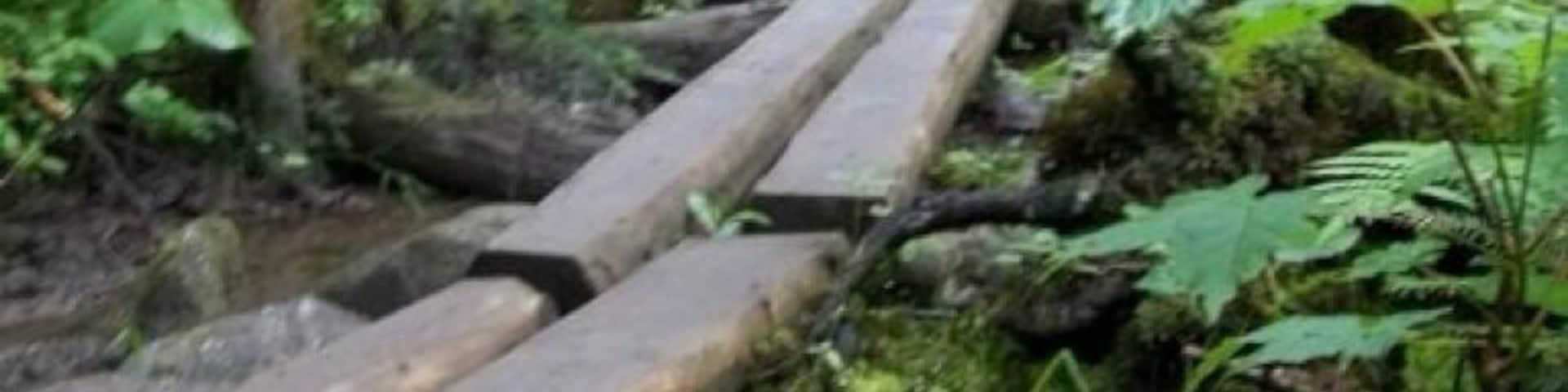 Hiking the Appalacian trail by Madrid, Maine in the Piazza Rock area headed towards Saddleback Mountain.
#hiking