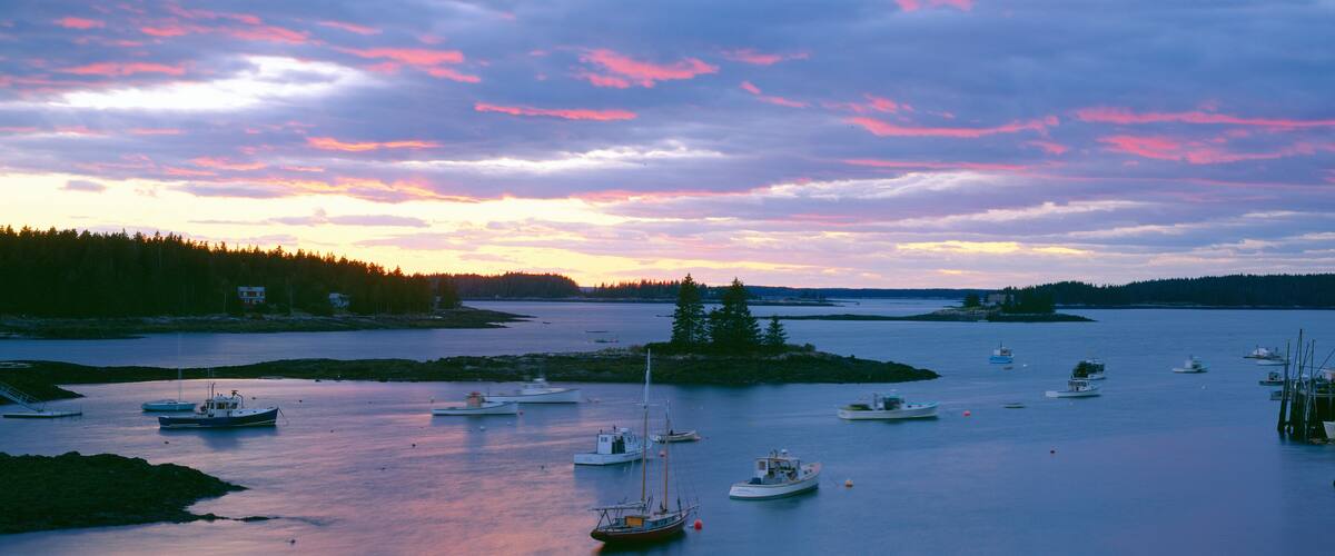 A harbor with several boats at sunset.