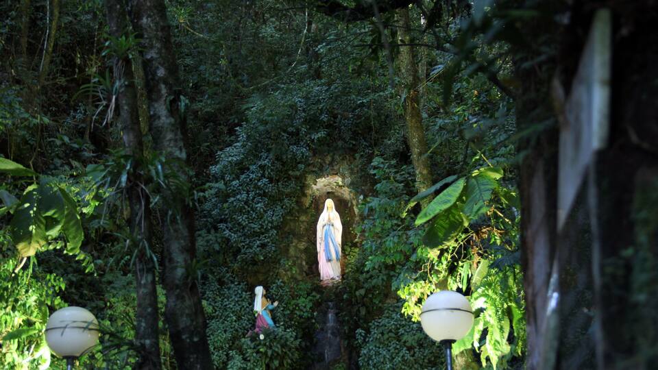 A statue of a religious figure surrounded by lush greenery and trees.
