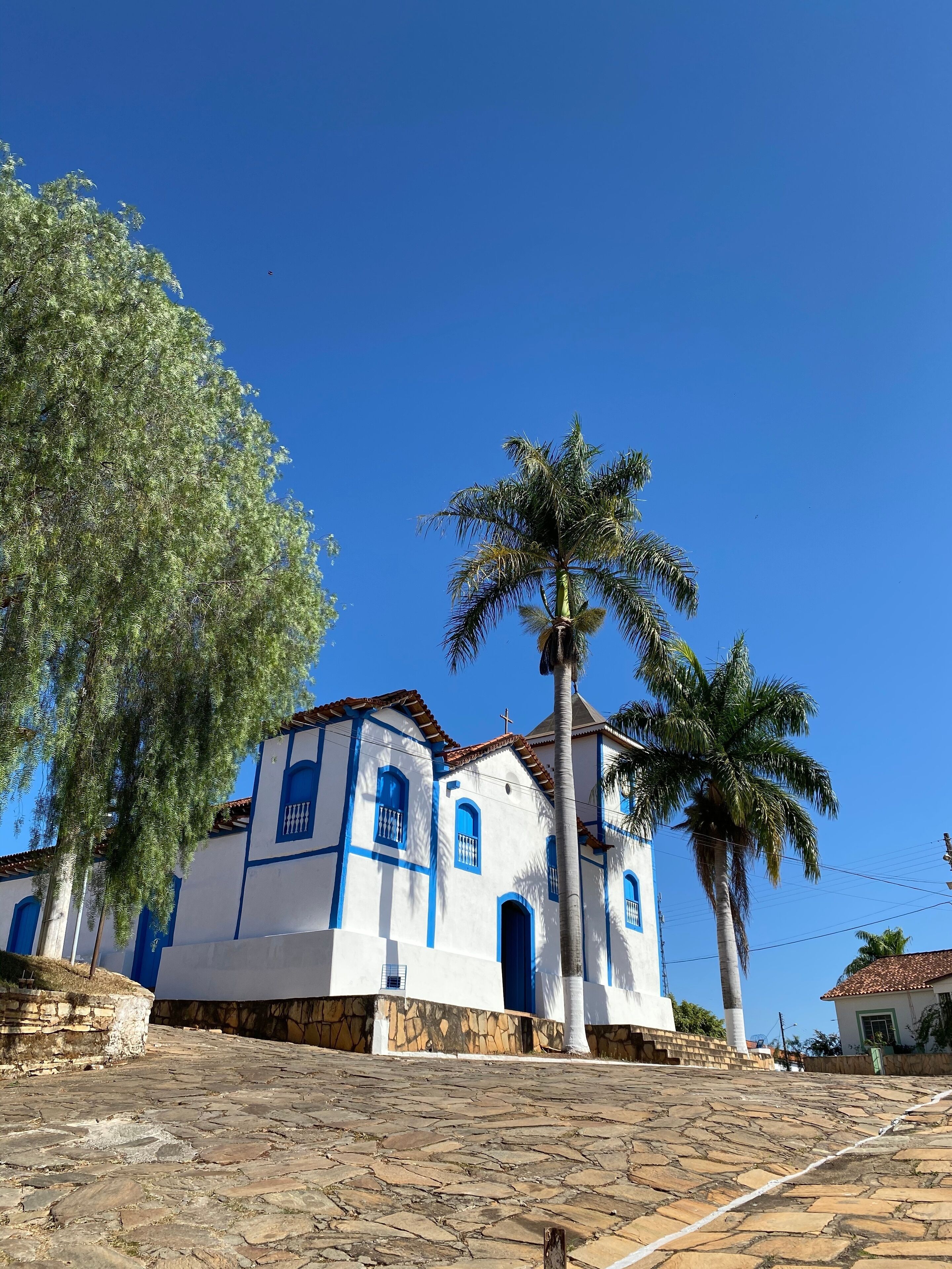 A white church with blue accents and a palm tree in front.