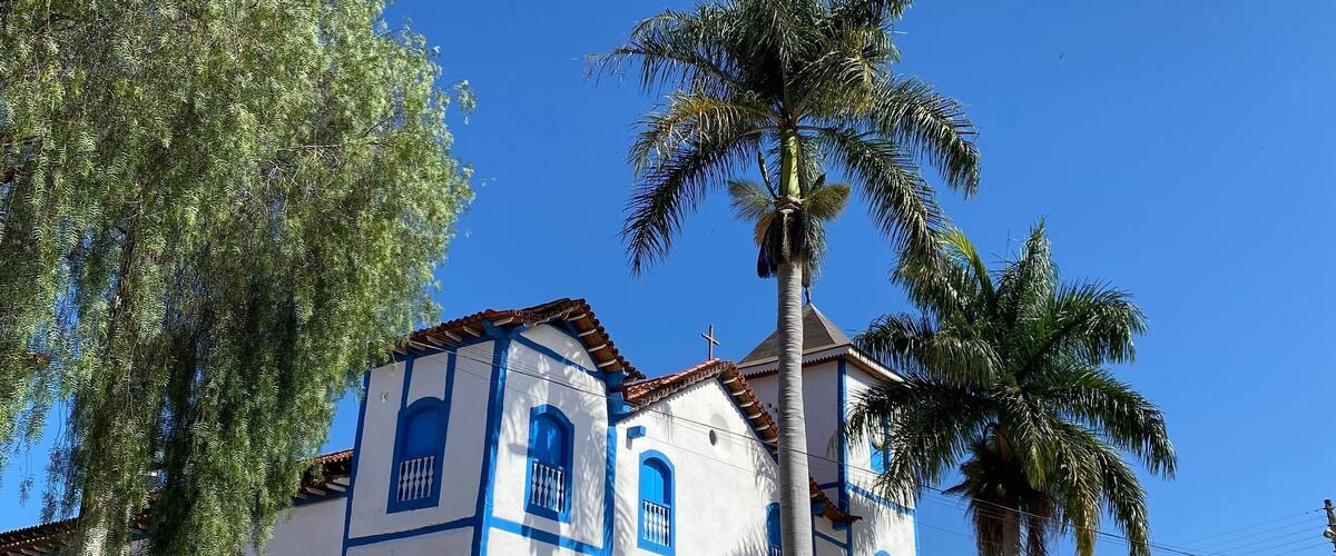 A white church with blue accents and a palm tree in front.