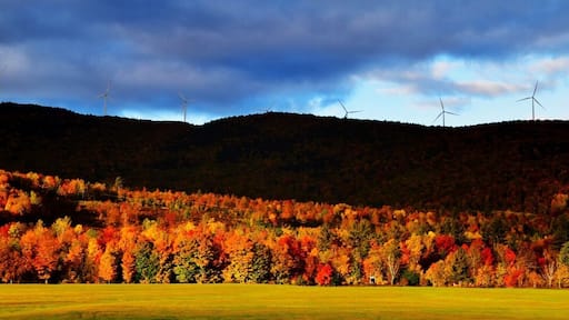 Record Hill Wind Project and foliage.