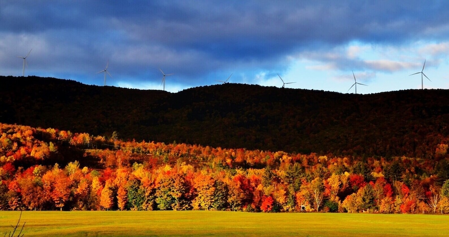 Record Hill Wind Project and foliage.
