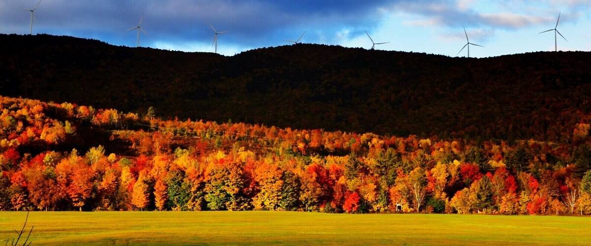 A landscape with wind turbines on a hill and a field of autumn-colored trees.