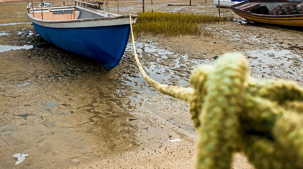 Salinas da Margarida