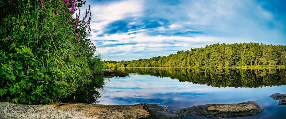 wilderness reflection of sky and trees in the calm tranquil water.