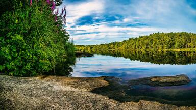 wilderness reflection of sky and trees in the calm tranquil water.