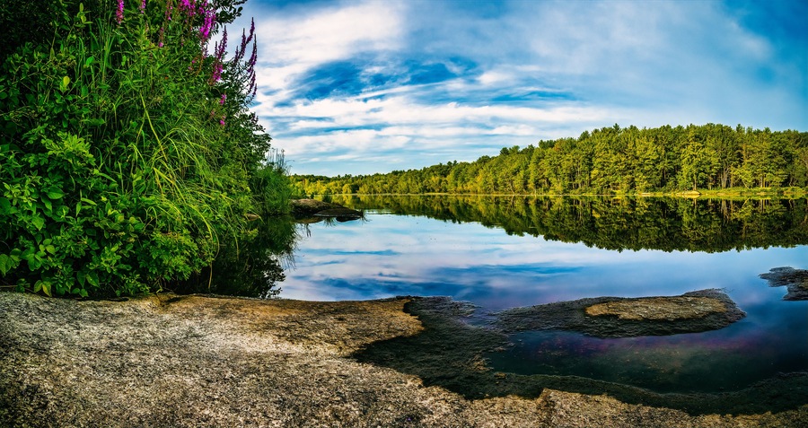 wilderness reflection of sky and trees in the calm tranquil water.
