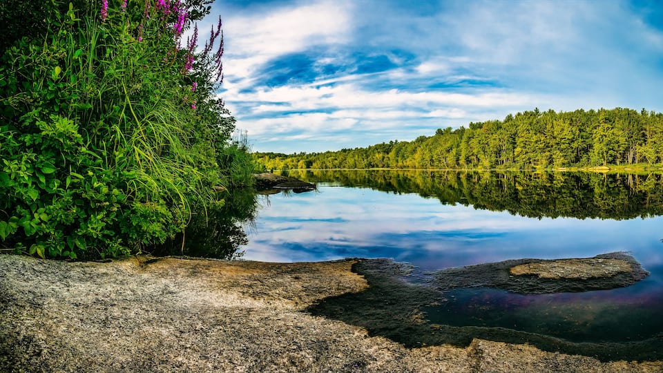 A calm lake surrounded by dense forest and rocky shores.