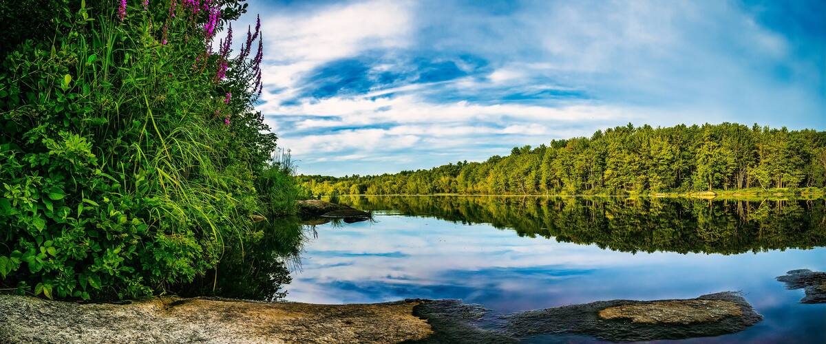 A calm lake surrounded by dense forest and rocky shores.