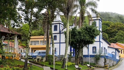 Historical church and park with palms in small town Passa Vinte, Minas Gerais, Brazil