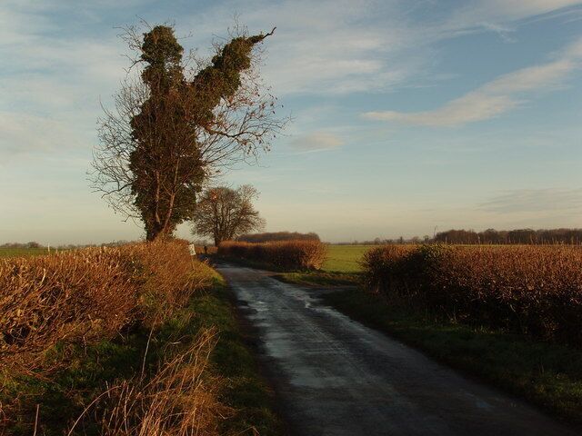 Leys Lane, Boston Spa, near Wetherby Leys Lane runs North from the A659 main road (which forms Boston Spa's main street) to the River Wharfe, past Wray Wood. Off to the right, by the forked tree, runs Deepdale Lane, which eventually leads to footpaths that run towards Jackdaw Crags and the River Wharfe.