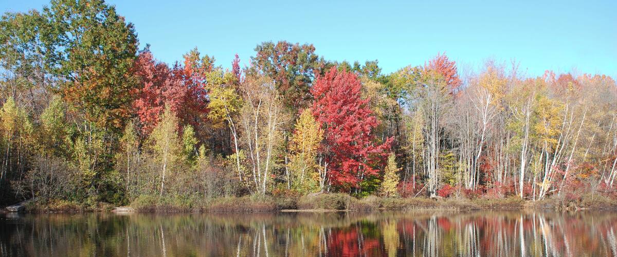 A calm lake reflecting colorful autumn trees.