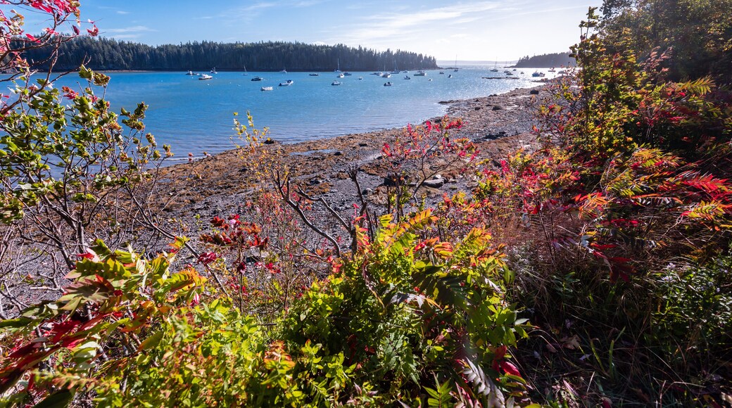 Autumn colors light up the shoreline of the ocean in a cove near Sorrento, Maine and Acadia National Park