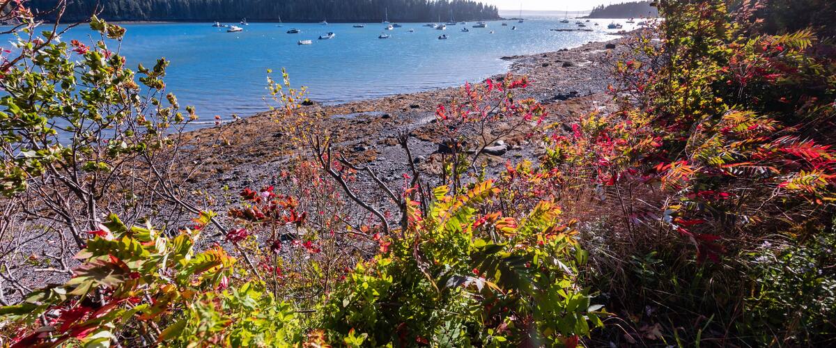 Autumn colors light up the shoreline of the ocean in a cove near Sorrento, Maine and Acadia National Park