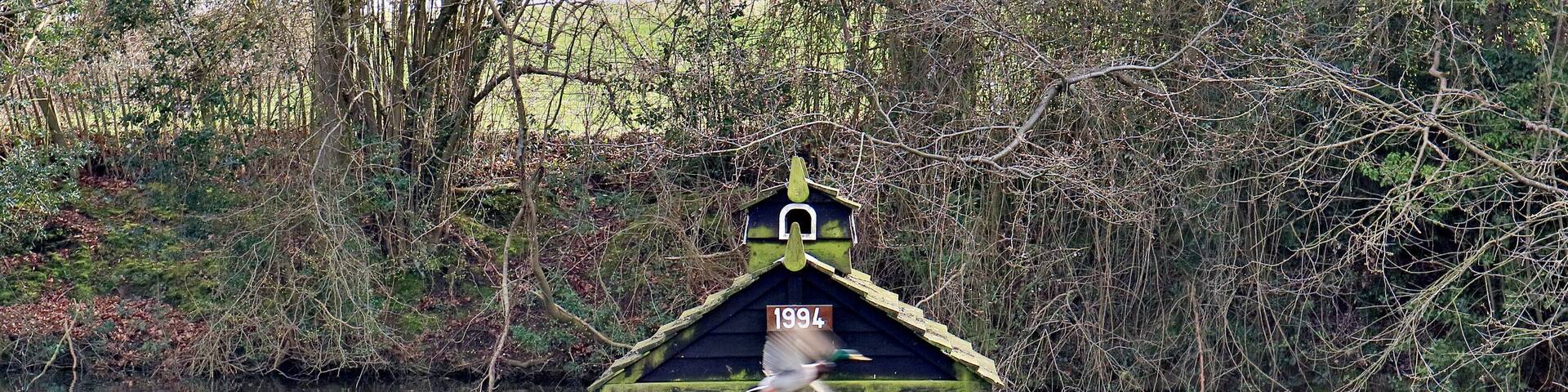 A duckhouse with a sign reading "Duckingham Palace" and the year "1994" on a small island in a body of water.
