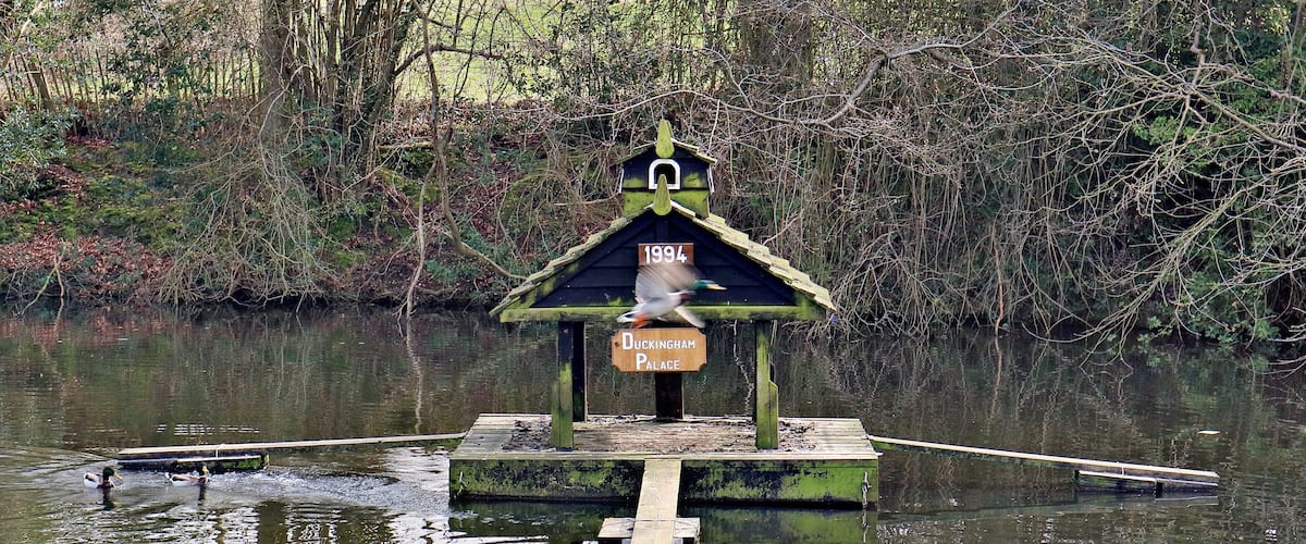 A duckhouse with a sign reading "Duckingham Palace" and the year "1994" on a small island in a body of water.