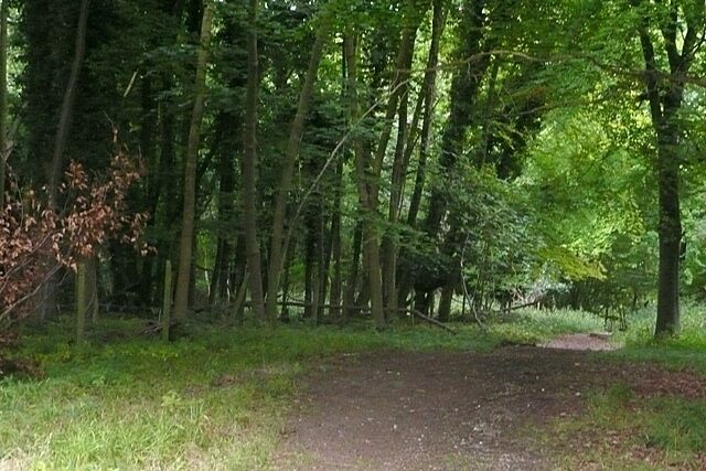 Into Mill Hanging Wood A footpath heads into the wood from the Ibstome to Fingest road, opposite Cobstone Mill.