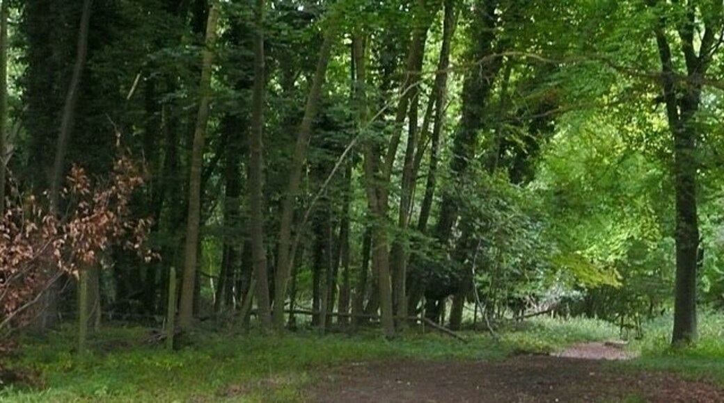 Into Mill Hanging Wood A footpath heads into the wood from the Ibstome to Fingest road, opposite Cobstone Mill.