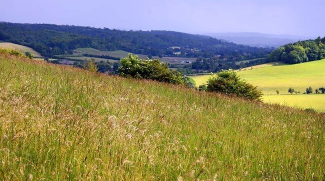 South-east across Turville Hill