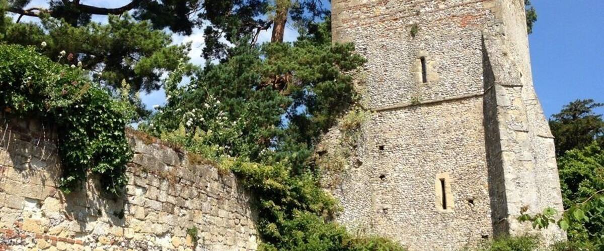 A stone tower with a flag, surrounded by lush greenery and flowering plants.