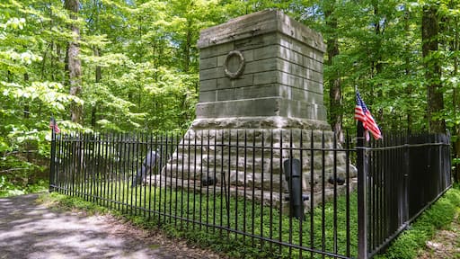 Steuben
