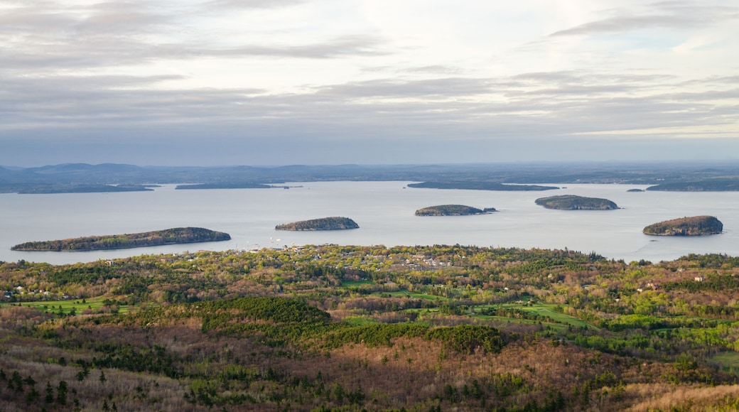 Swans Island