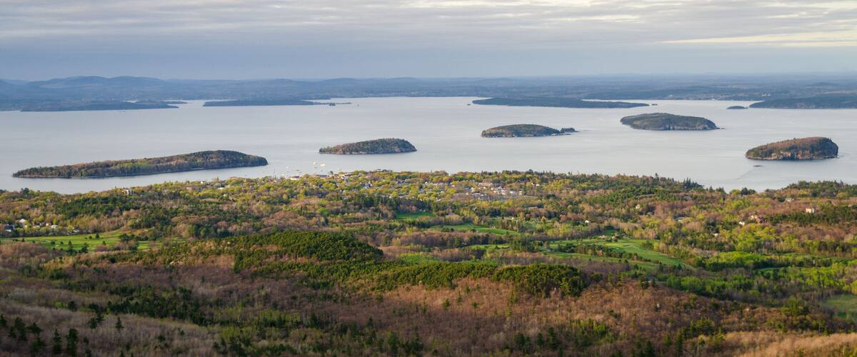A coastal landscape with multiple islands surrounded by water, a forested area in the foreground, and distant mountains.
