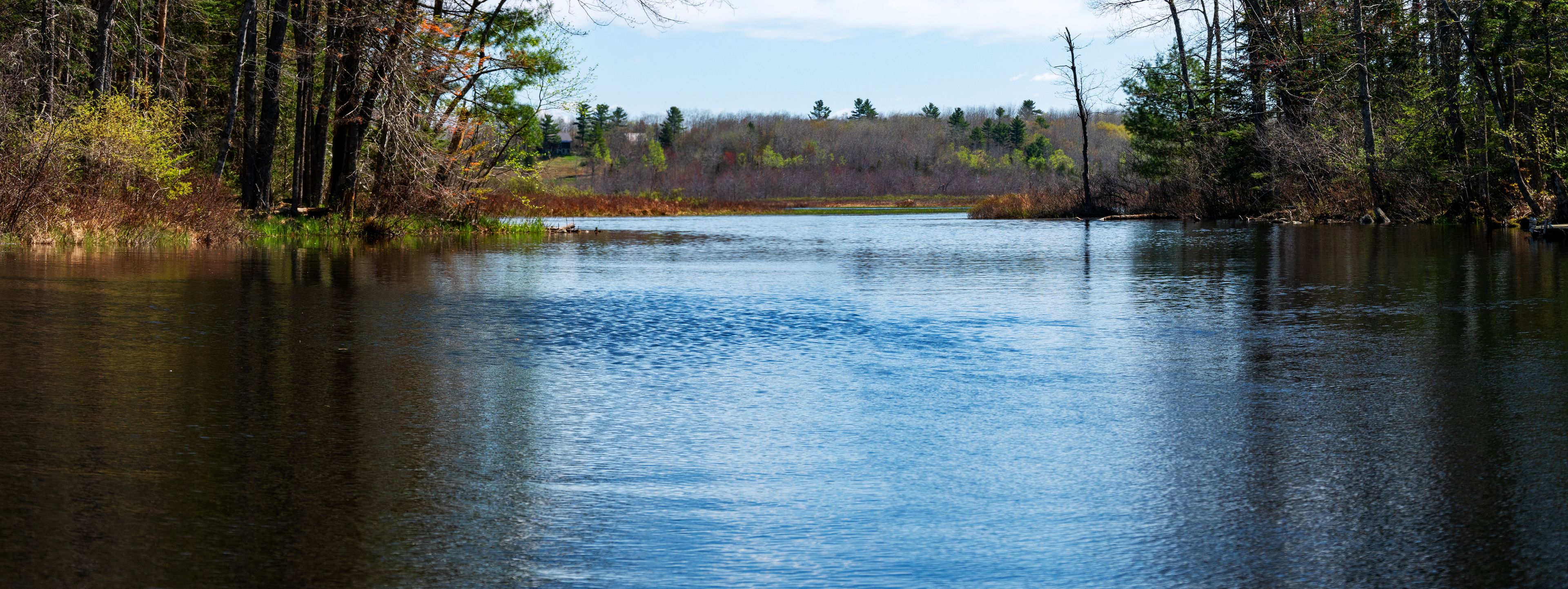 A calm river surrounded by dense forest with a clear sky.