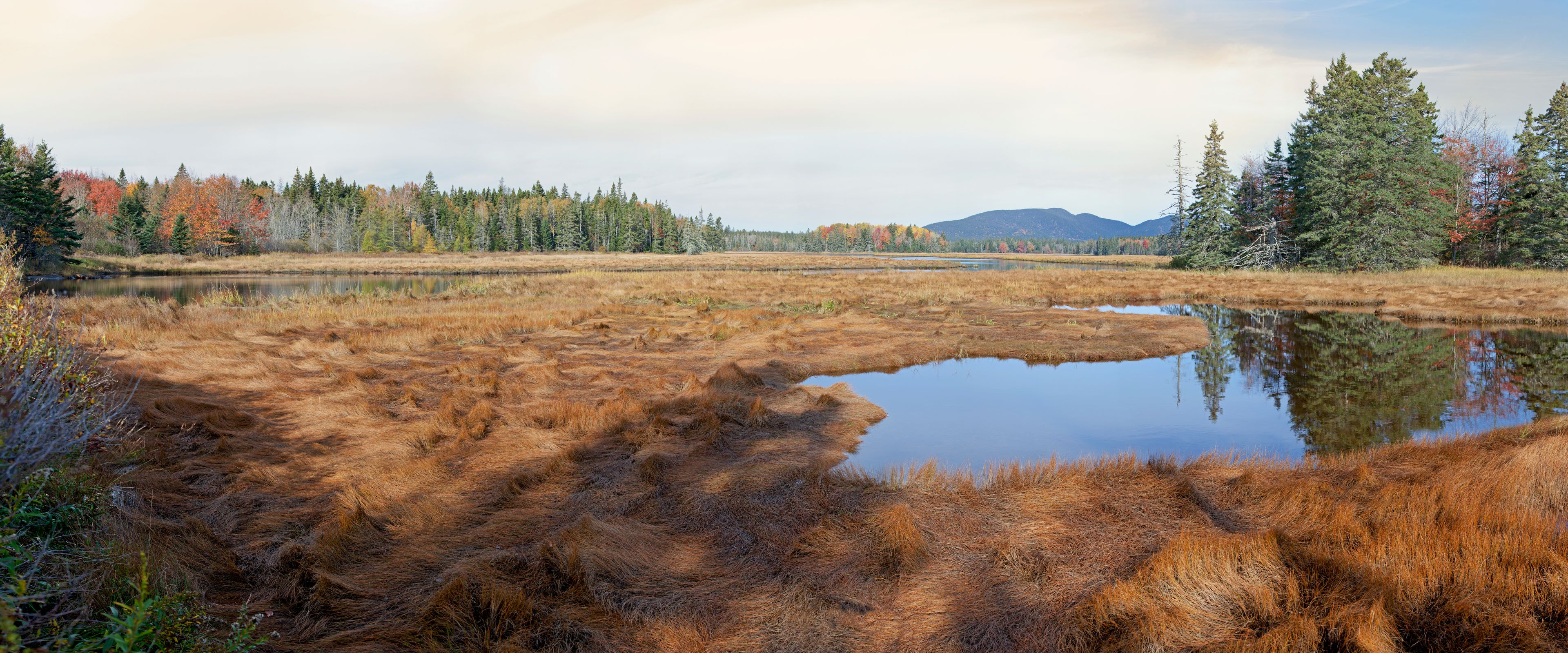 A serene wetland with a small pond surrounded by autumn-colored trees and a distant mountain range.